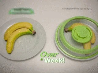 Vacuum Seal Food Cover