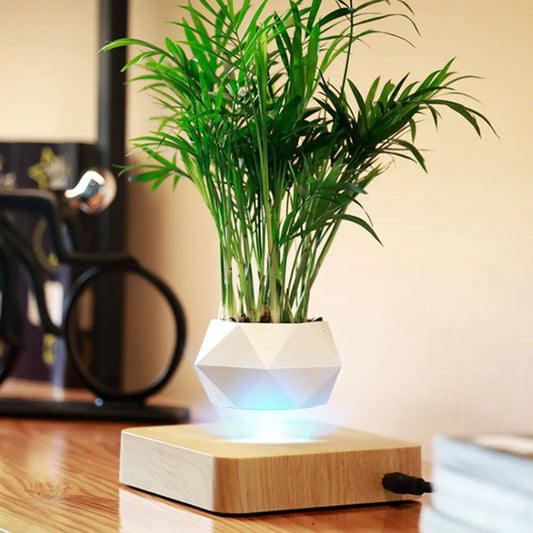 Floating Flower Pot for Home Decor