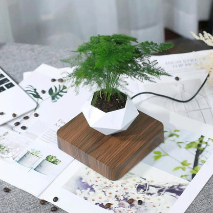 Floating Flower Pot for Home Decor