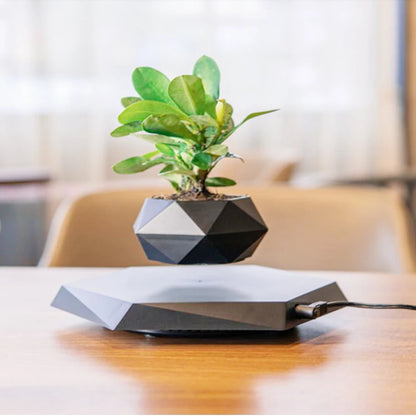 Floating Flower Pot for Home Decor