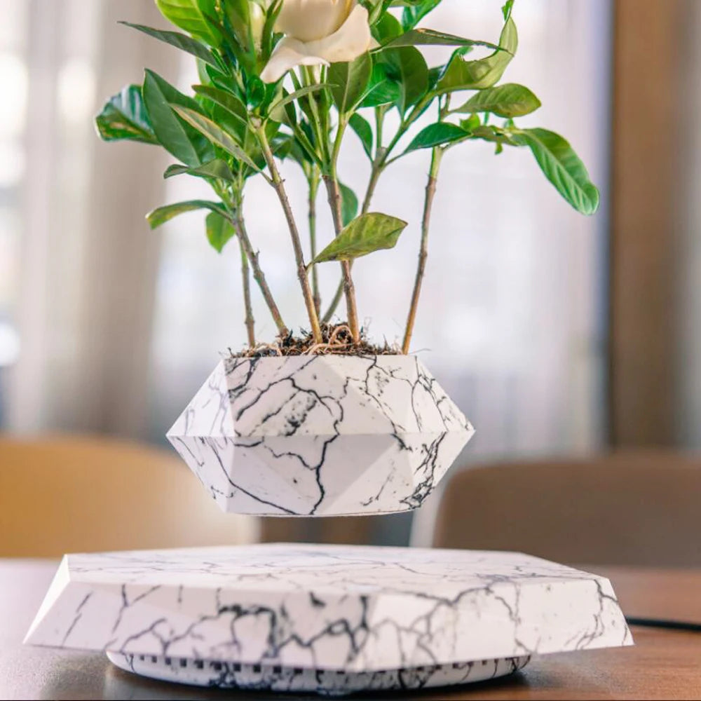 Floating Flower Pot for Home Decor